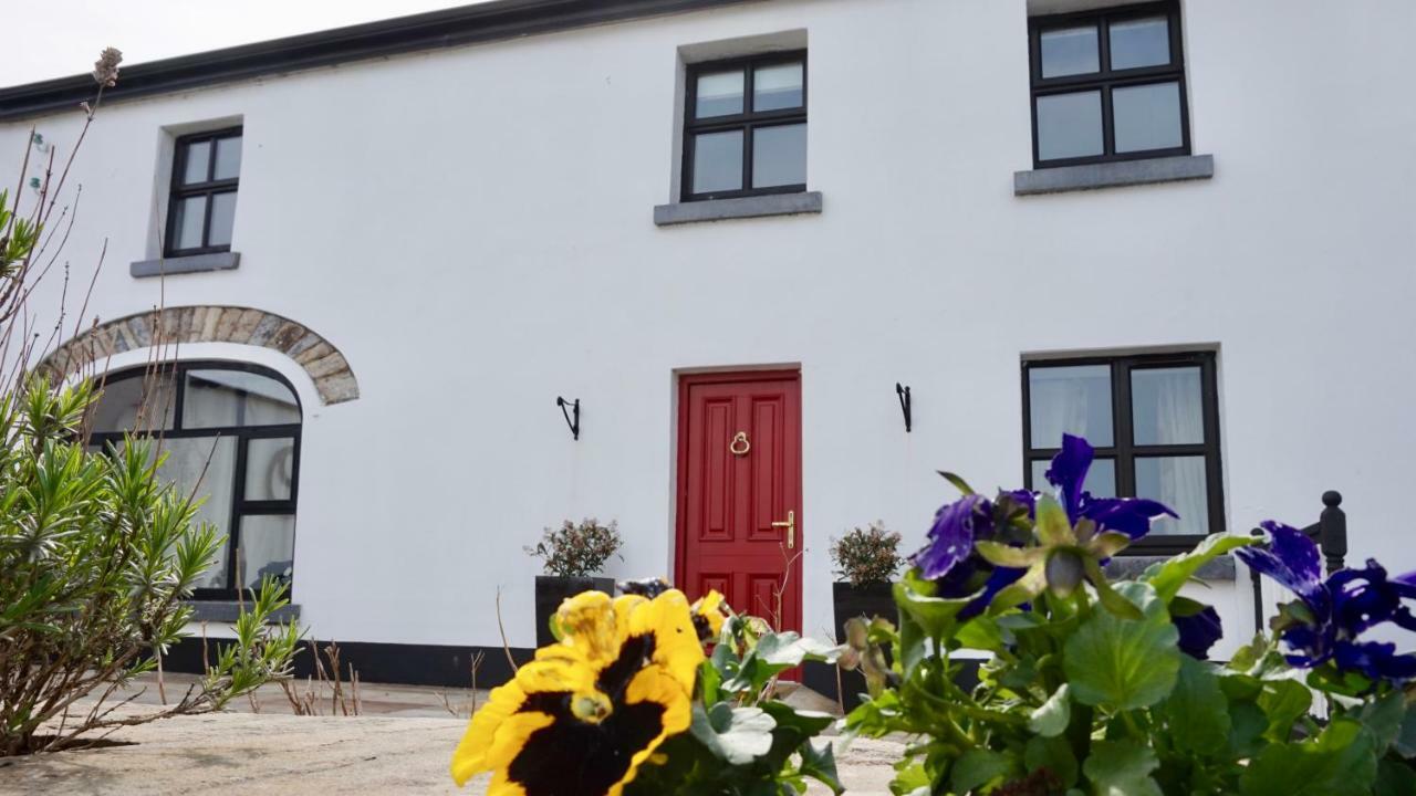 Cartron House Bed & Breakfast Ballinakill  Ngoại thất bức ảnh