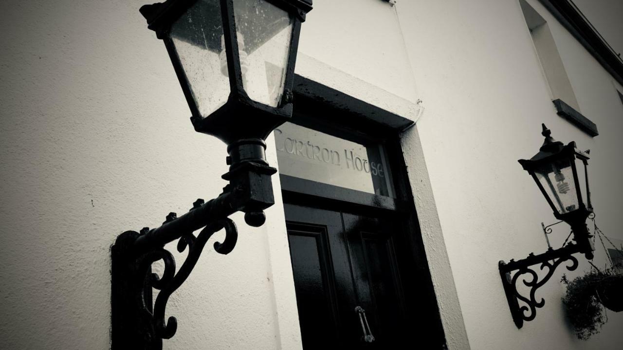 Cartron House Bed & Breakfast Ballinakill  Ngoại thất bức ảnh