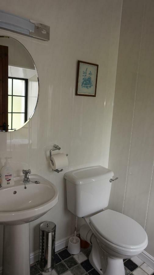 Cartron House Bed & Breakfast Ballinakill  Ngoại thất bức ảnh